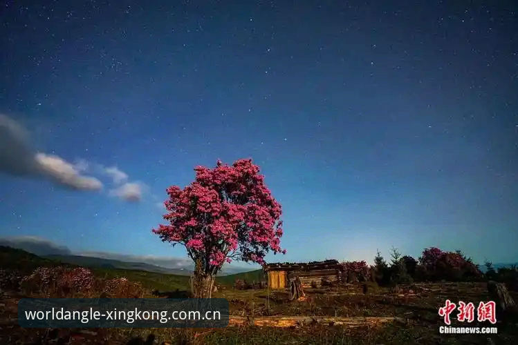 星空中国官方主站登陆页 星空中国官方主站登陆页的5个隐藏细节