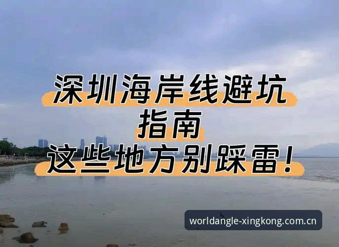 星空中国官方主站登陆页 星空体育平台避坑指南:从踩雷到直达的正确操作教程